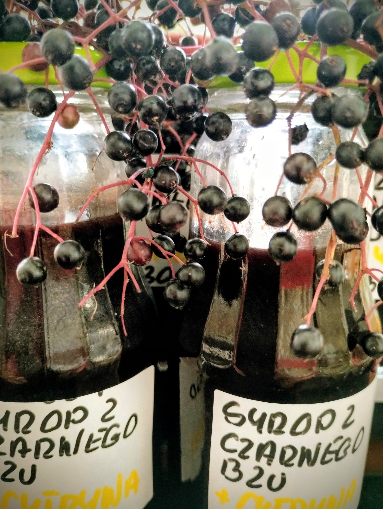 Syrop z owoców czarnego bzu z sokiem z cytryn. 20% cukru 330g. {5 zł/100g}